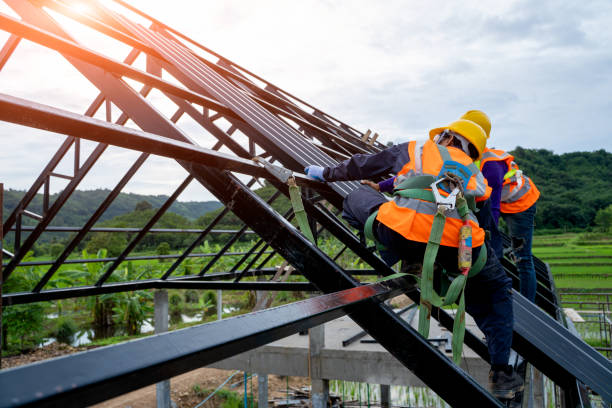 Best Metal Roofing Contractor  in Holbrook, AZ