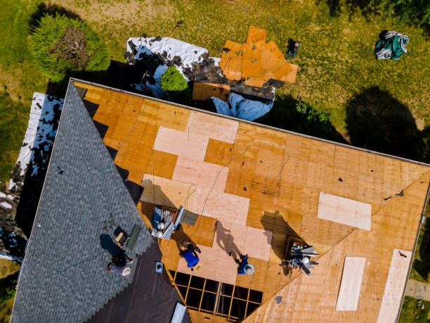 Roof Waterproofing Services in Holbrook, AZ