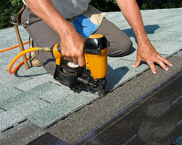 Roof Gutter Cleaning in Holbrook, AZ