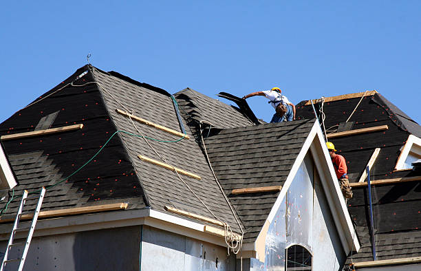 Best Roof Gutter Cleaning  in Holbrook, AZ