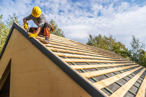 Best Gutter Installation and Roofing  in Holbrook, AZ