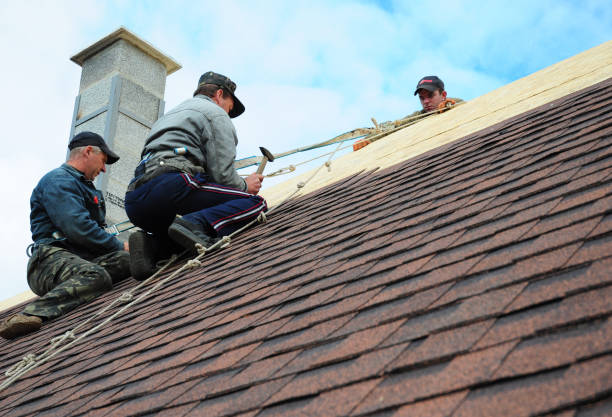Quick and Trustworthy Emergency Roof Repair Services in Holbrook, AZ